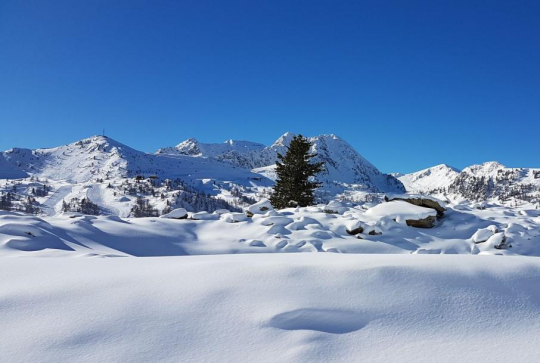 Ski de fond et des raquettes près de Nice : 5 stations à découvrir : Isola 2000