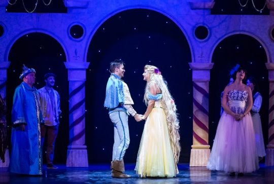 Raiponce et le prince aventurier - Guillaume Bauchède