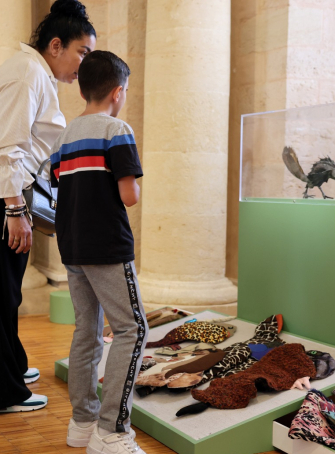 Exposition C’est pas bête