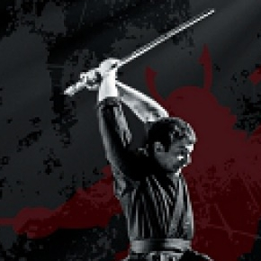 Votre entrée pour le festival des arts martiaux 2017