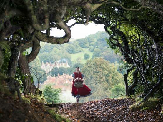 Into the woods