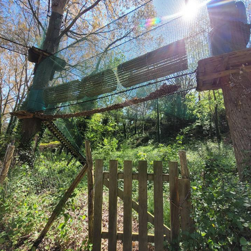 Parc aventure C.O.R.D.E