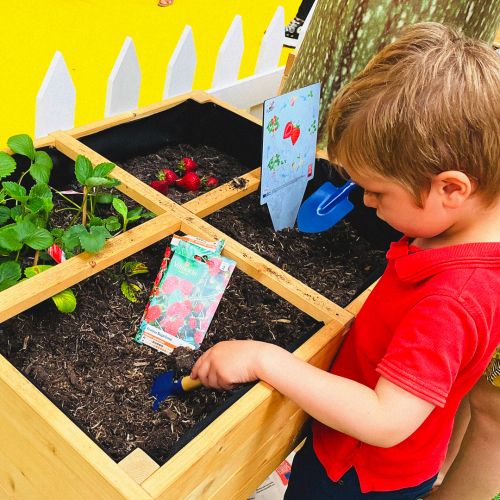 Le jardin extraordinaire de Frutti et Veggi