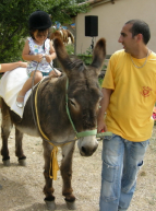 Foire aux bestiaux Marseille