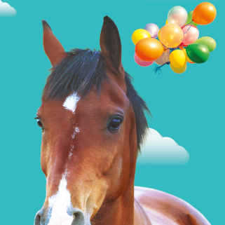 Les Estivales de l'Hippodrome d'Enghien 2018 - Affiche