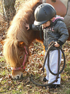 Petite fille et son poney