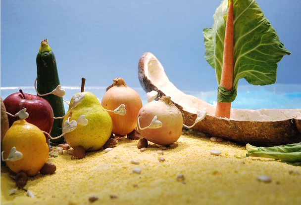 Maison sucrée, jardin salé