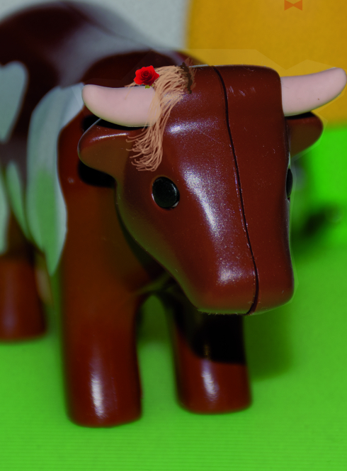 Images contre nature 2017