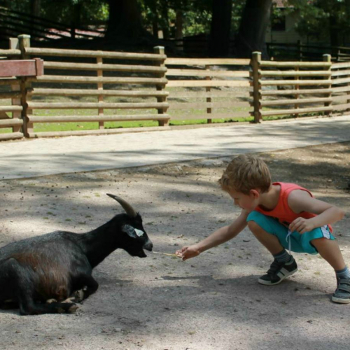 Une journée au Parc Friedel