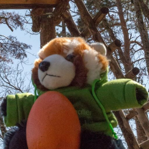 Pâques au Parc animalier d'Auvergne