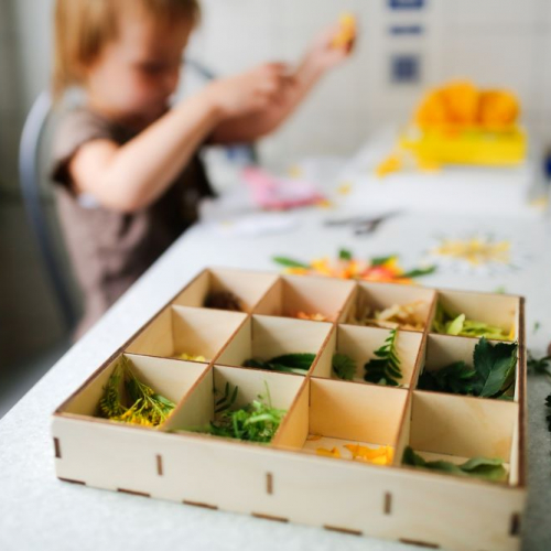 Fille dans un atelier de botanique