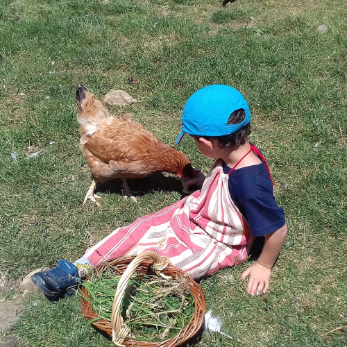 Ferme des Ours Gourmands