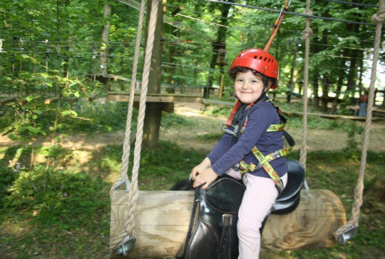 Chicoune Accroforest