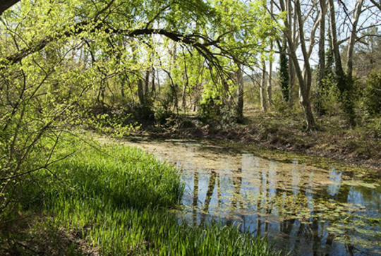 Domaine de Restinclières