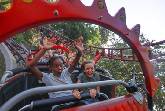 Dragon chinois au Jardin d'acclimatation