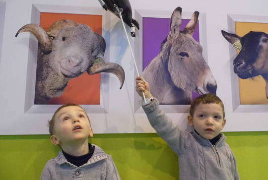 salon agriculture 2013