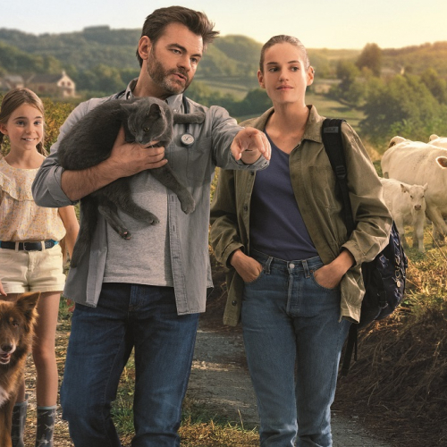 Les Vétos - Affiche