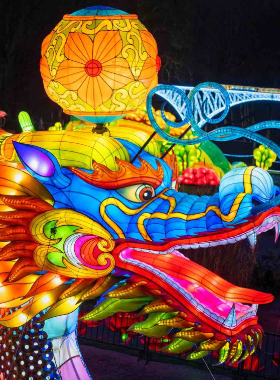 Festival des Lanternes - Féeries de Chine