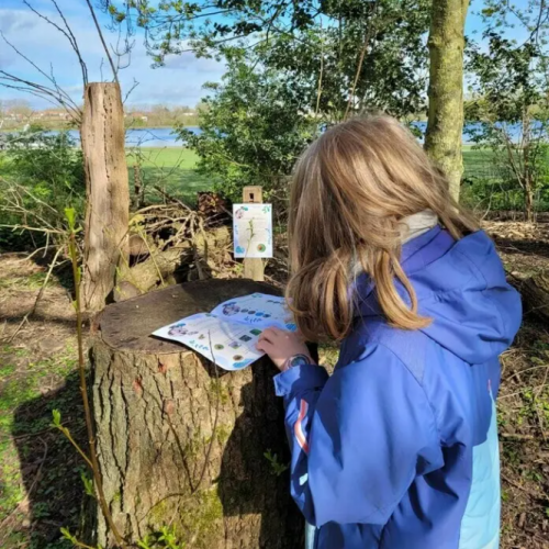 Prés du Hem Chasse aux œufs