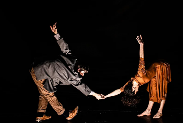 La Crisis de la imaginacion - salut