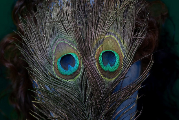 Les voltigeurs de Gy - Cie de Haut et Court