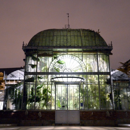 Amazonuits au Jardin des Plantes de Nantes
