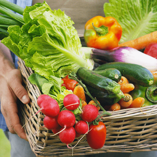 La Ferme de Guillaume