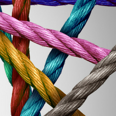 C'est dans mes cordes - Vaisseau