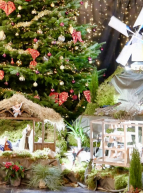 La crèche de Noël à l'église Saint-Étienne de Lille : Une crèche de Noël composée de santons