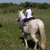 Les Marais du Vigueirat