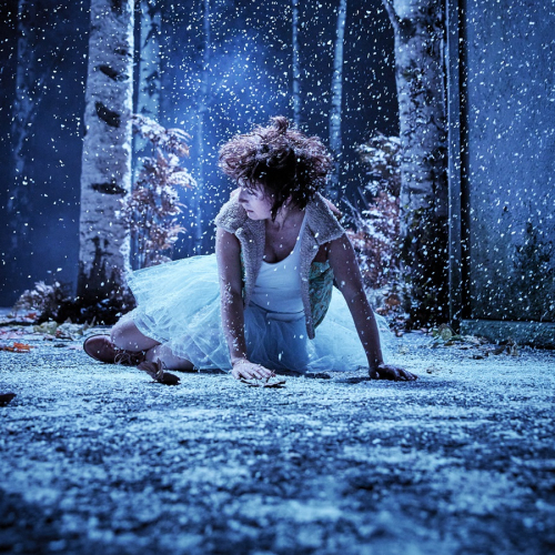 Neige - Pauline Bureau : dans la neige