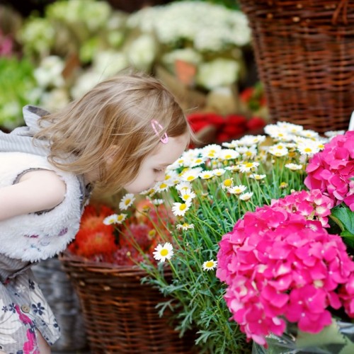 Petite fille dans un marché aux plantes