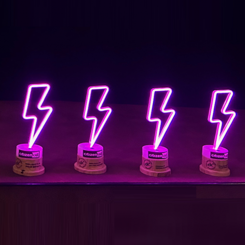 Prix des lecteurs CitizenKid : les 4 trophées