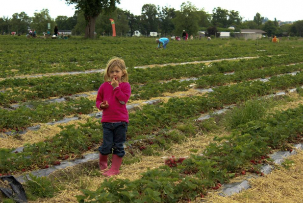 Cueillette de l'Aragnon