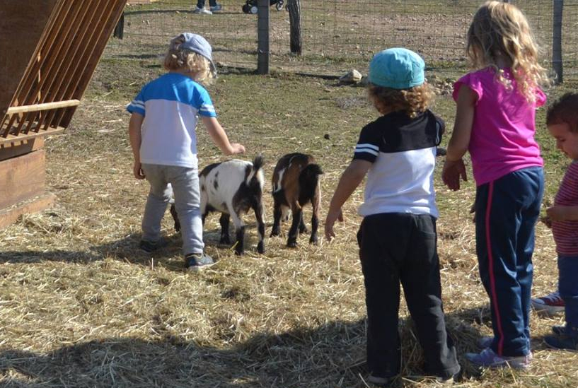 Top des fermes pédagogiques près de Lyon en famille - Citizenkid