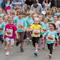 Marathon du vignoble d'Alsace
