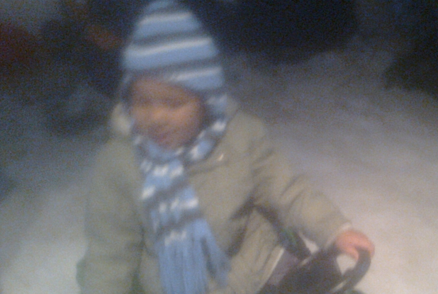 Dans le jardin des neiges