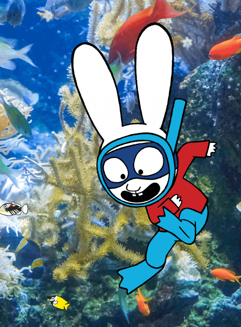 Expo Simon Super Lapin