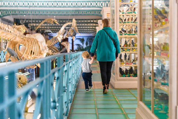 Musée d'histoire naturelle de Lille