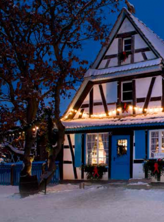 Noël à l'Ecomusée : jardins d'hiver et expos