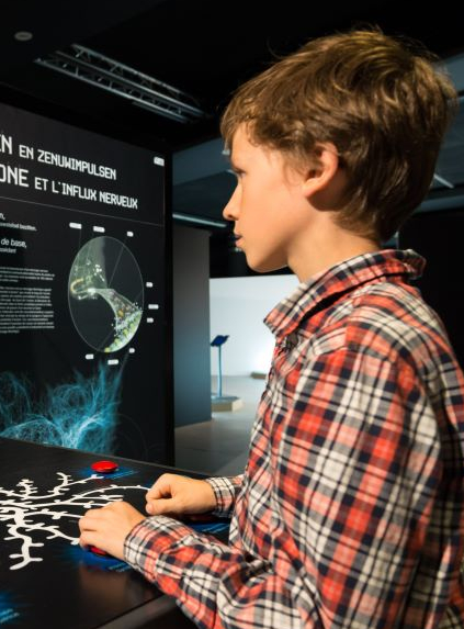 Cervorama : enfant à Cap Sciences