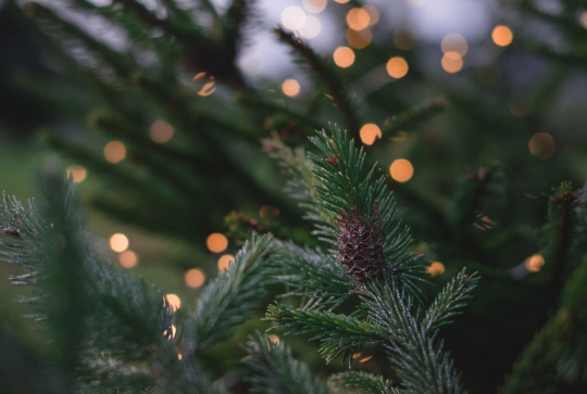Noel A Lille Spectacles Pour Enfants Et Marche De Noel Citizenkid