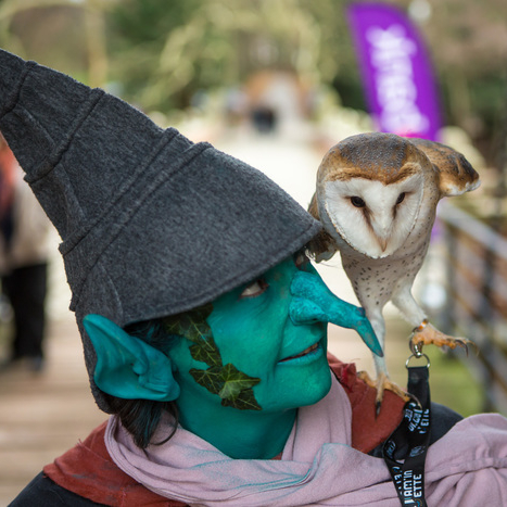 La ferme d'en haut à Halloween