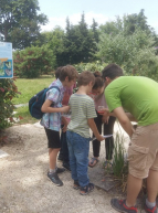 Festival des abeilles epicurium