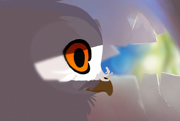 L'Odyssée de Choum : regard de chouette