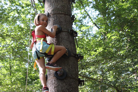 Arbres et Sens Aventures