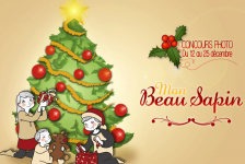 Concours photo "Mon Beau Sapin" 2013