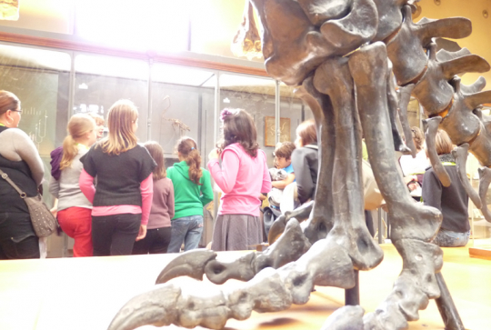 age de glace CK event 5