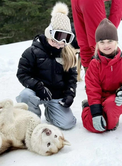 Mourtis : chien de traîneaux en famille