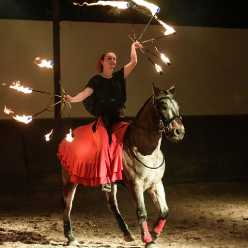 Spectacle Equestre © Compagnei Libertad